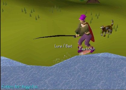image.jpeg